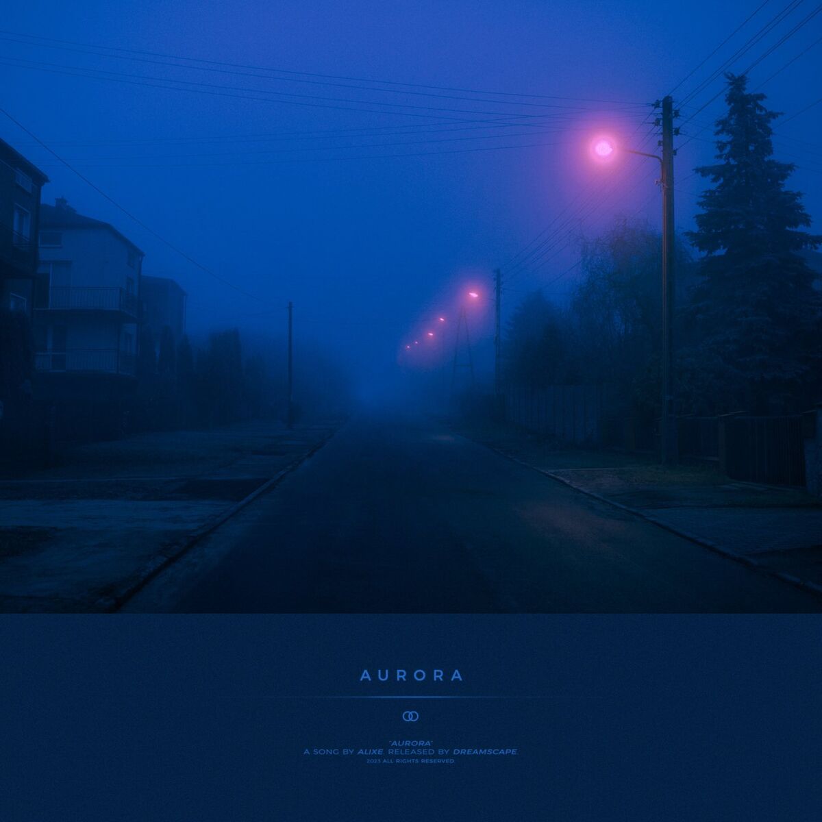 Album cover of aurora