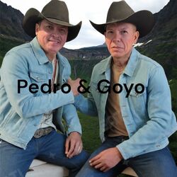Cover of Tequila y Mezcal