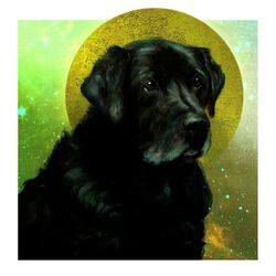 Cover of Dog Day