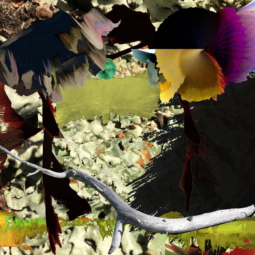 Picture of SOLIDICITY