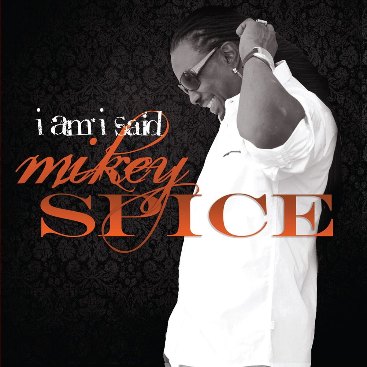 Album cover of I Am I Said