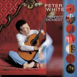 Cover of Perfect Moment