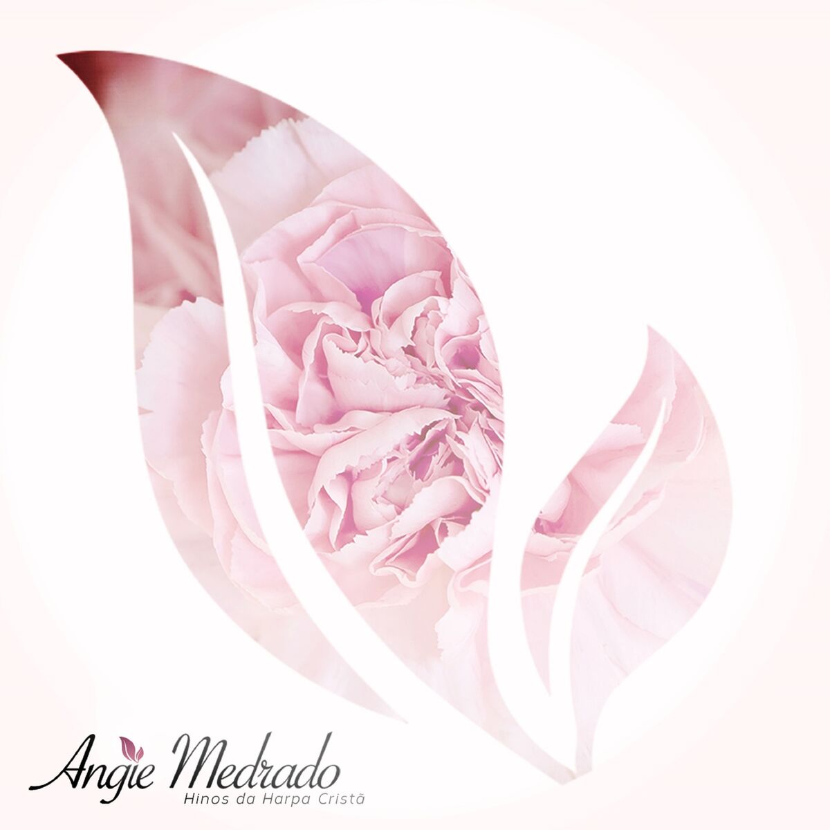 Album cover of Alma Abatida
