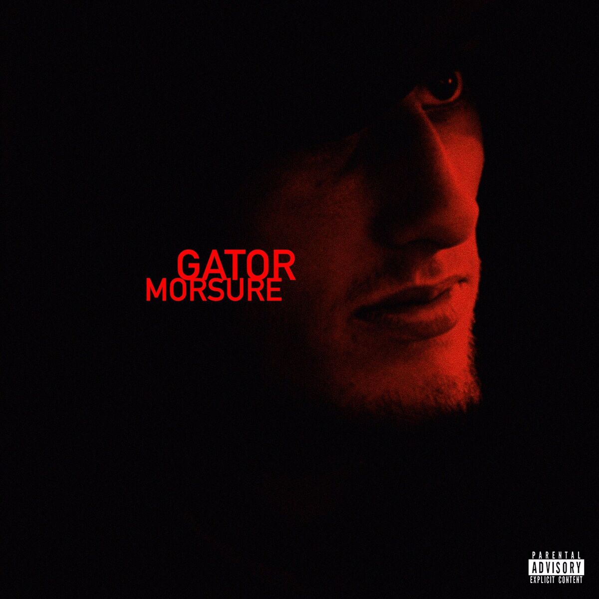 Album cover of MORSURE