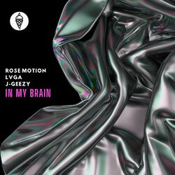 Cover of In My Brain