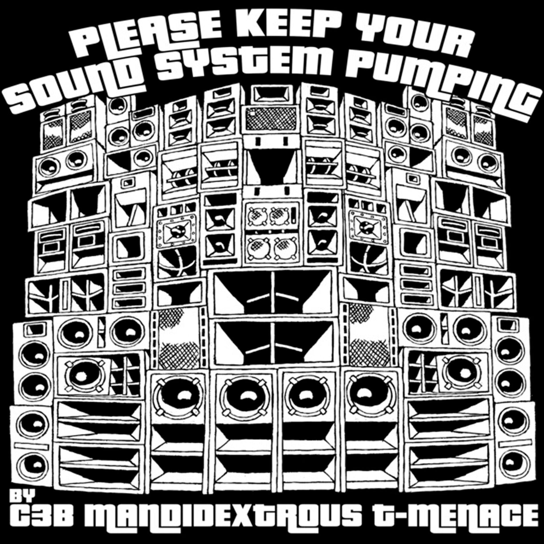 Album cover of Please Keep Your Soundsystem Pumping