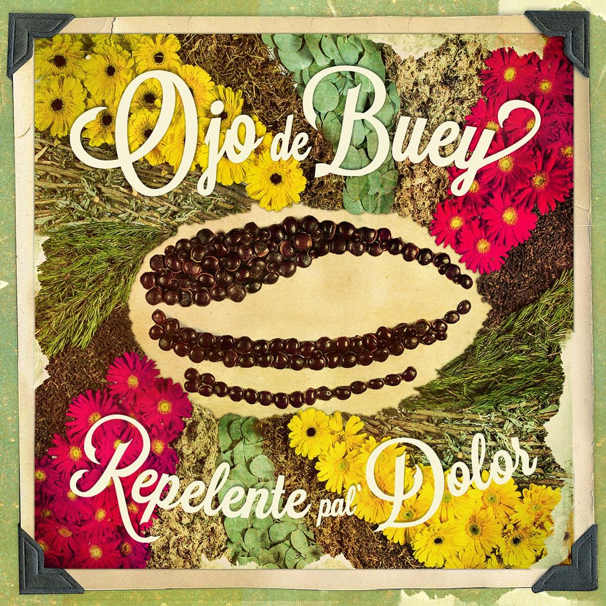 Album cover of Repelente Pal' dolor