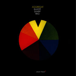 Cover of Aggregat