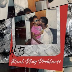 Cover of Real Plug Problems