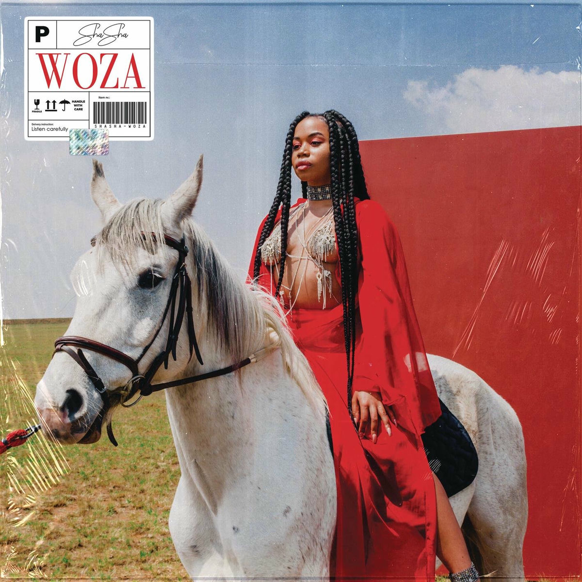 Album cover of Woza