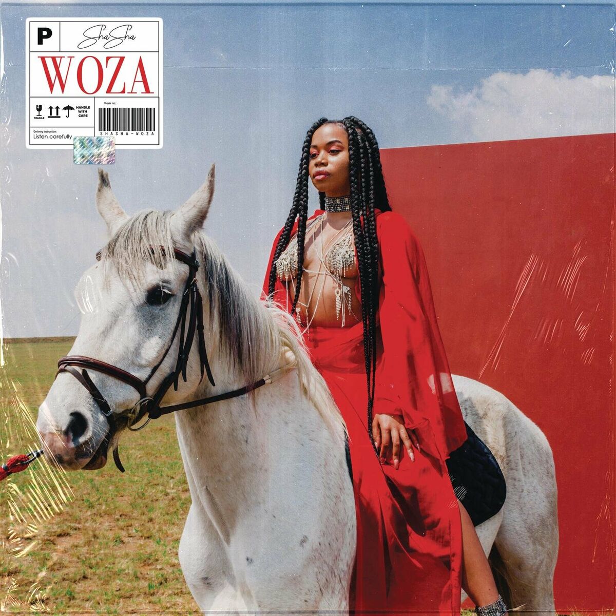 Album cover of Woza