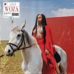 Cover of Woza