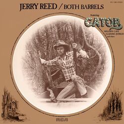 Cover of Both Barrels