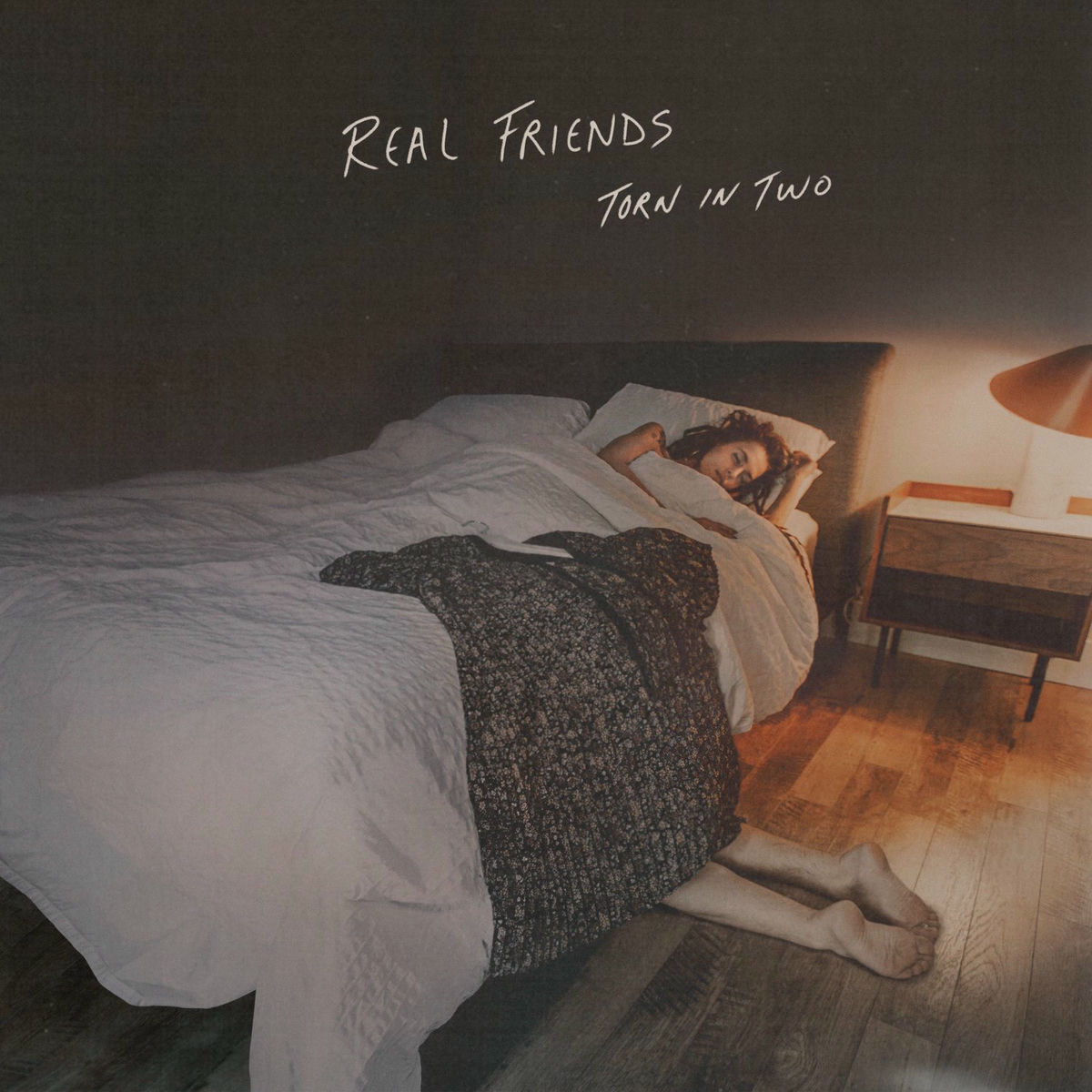 Album cover of Torn in Two