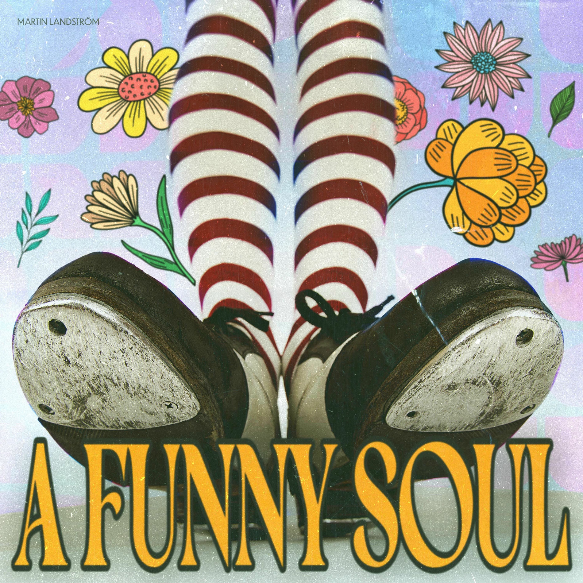 Album cover of A Funny Soul