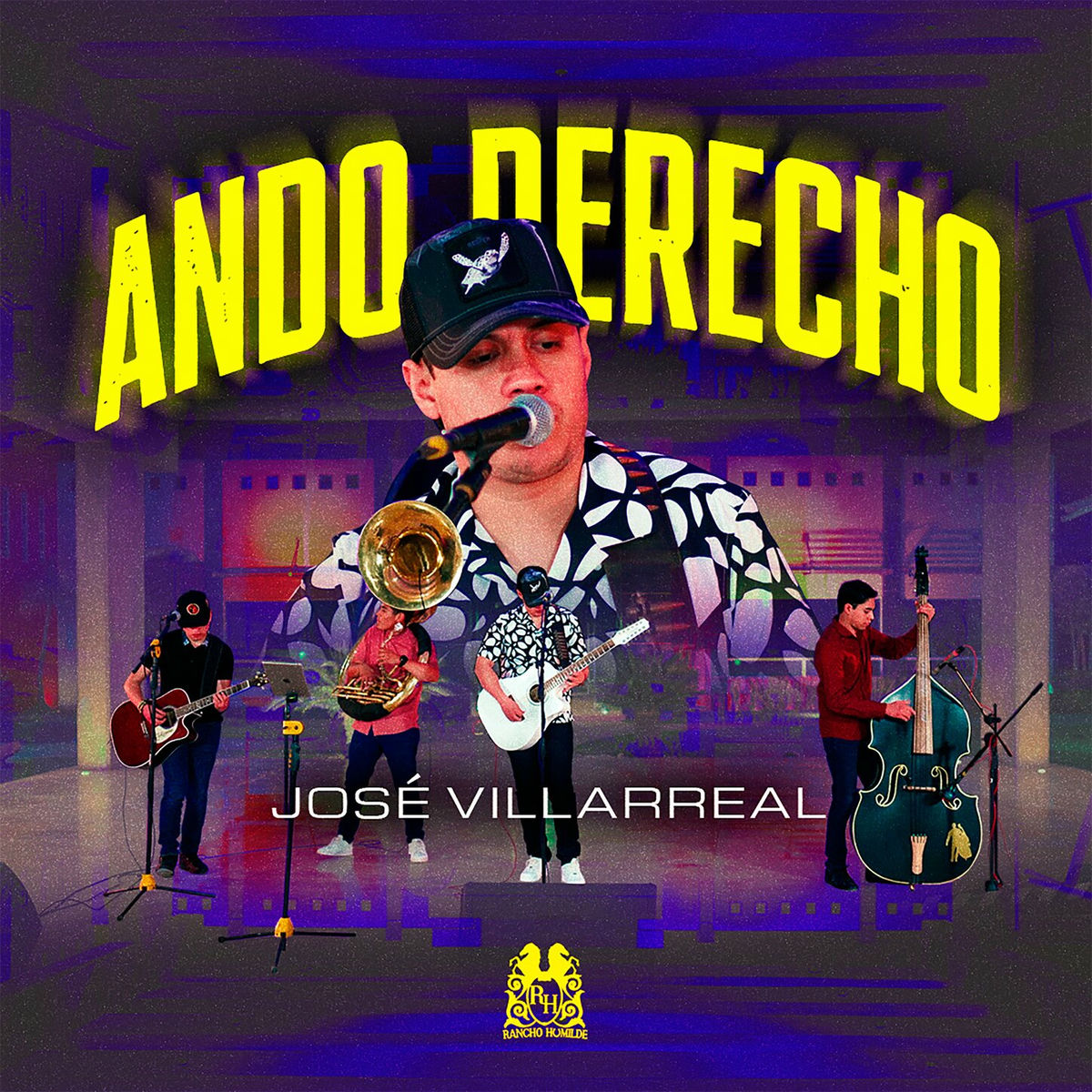 Album cover of Ando Derecho
