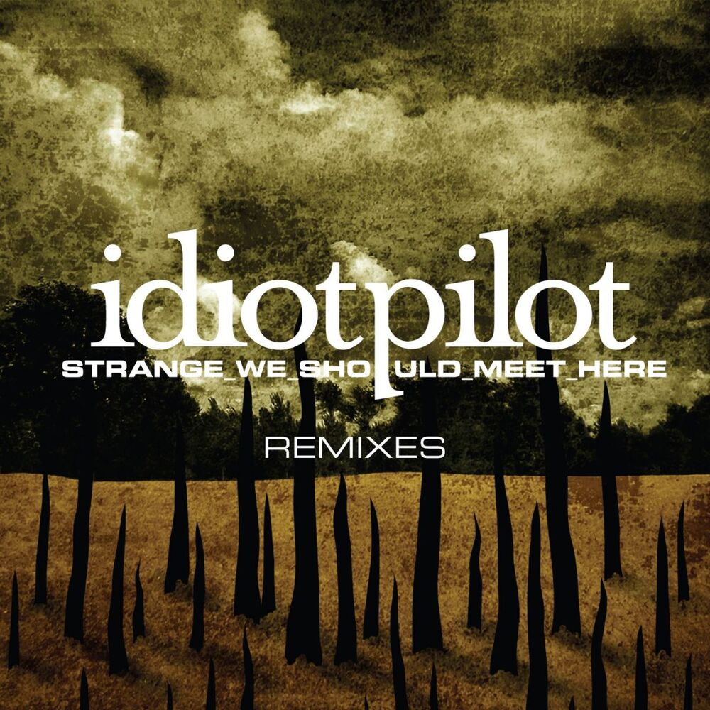 Picture of Remixes From "Strange We Should Meet Here" (DMD Maxi)
