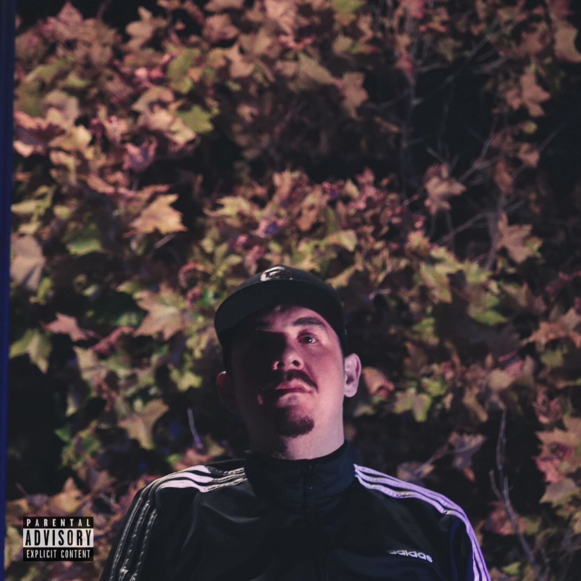 Album cover of O.L.I.