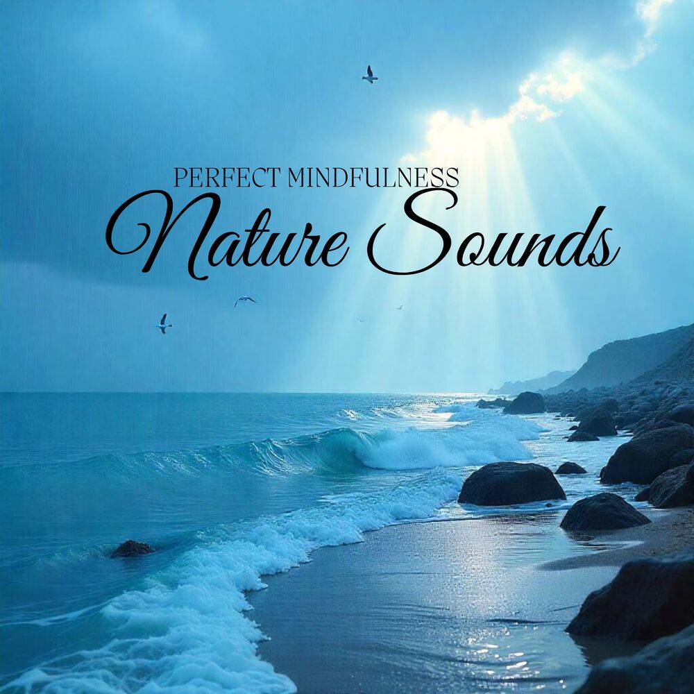 Picture of Perfect Mindfulness Nature Sounds