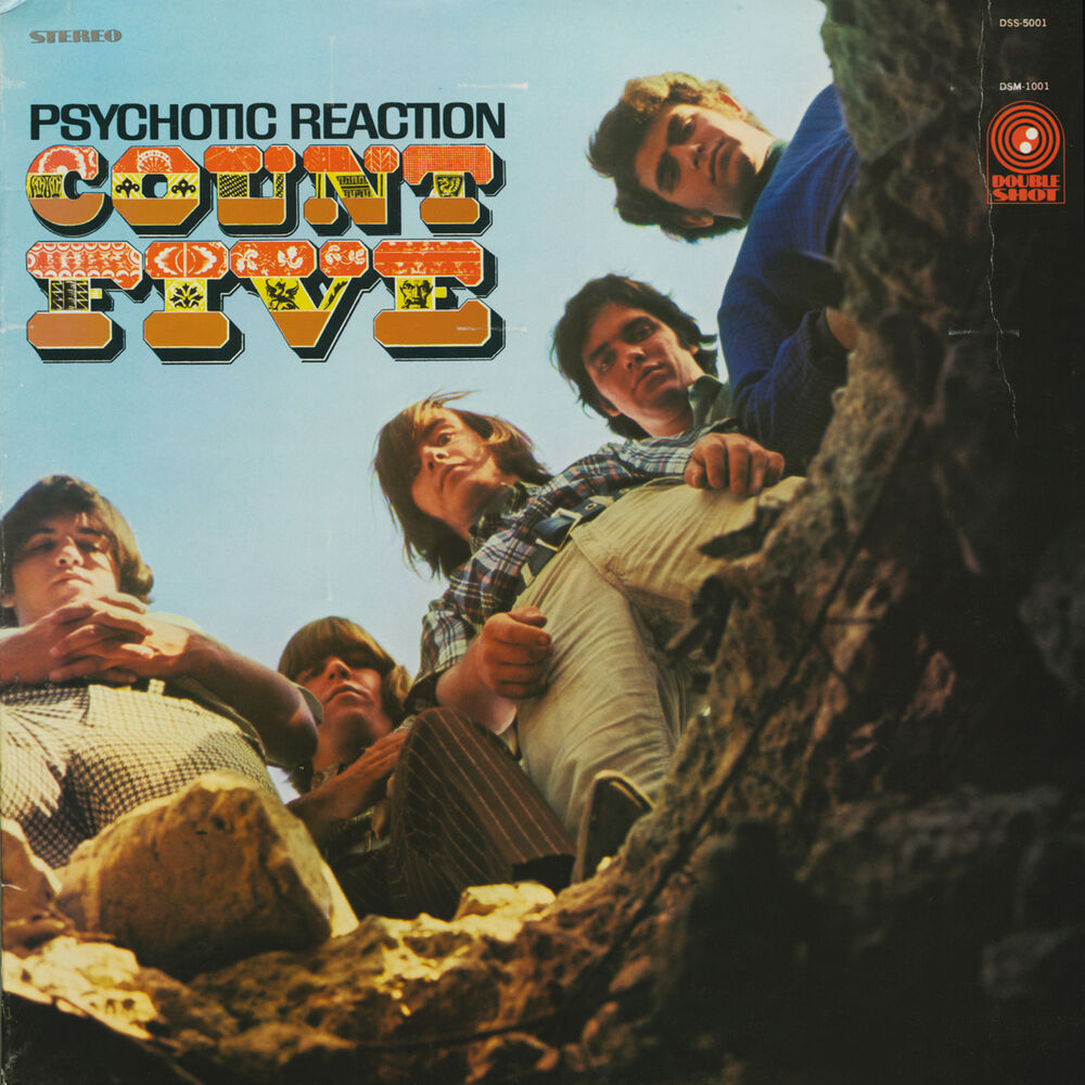 Picture of Psychotic Reaction