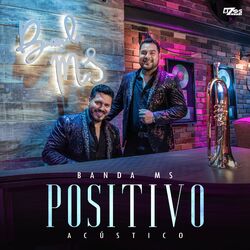 Cover of Positivo