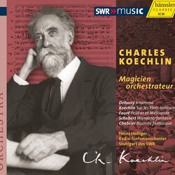 Cover of Magicien orchestrateur
