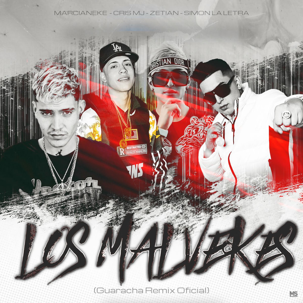 Album cover of LOS MALVEKES