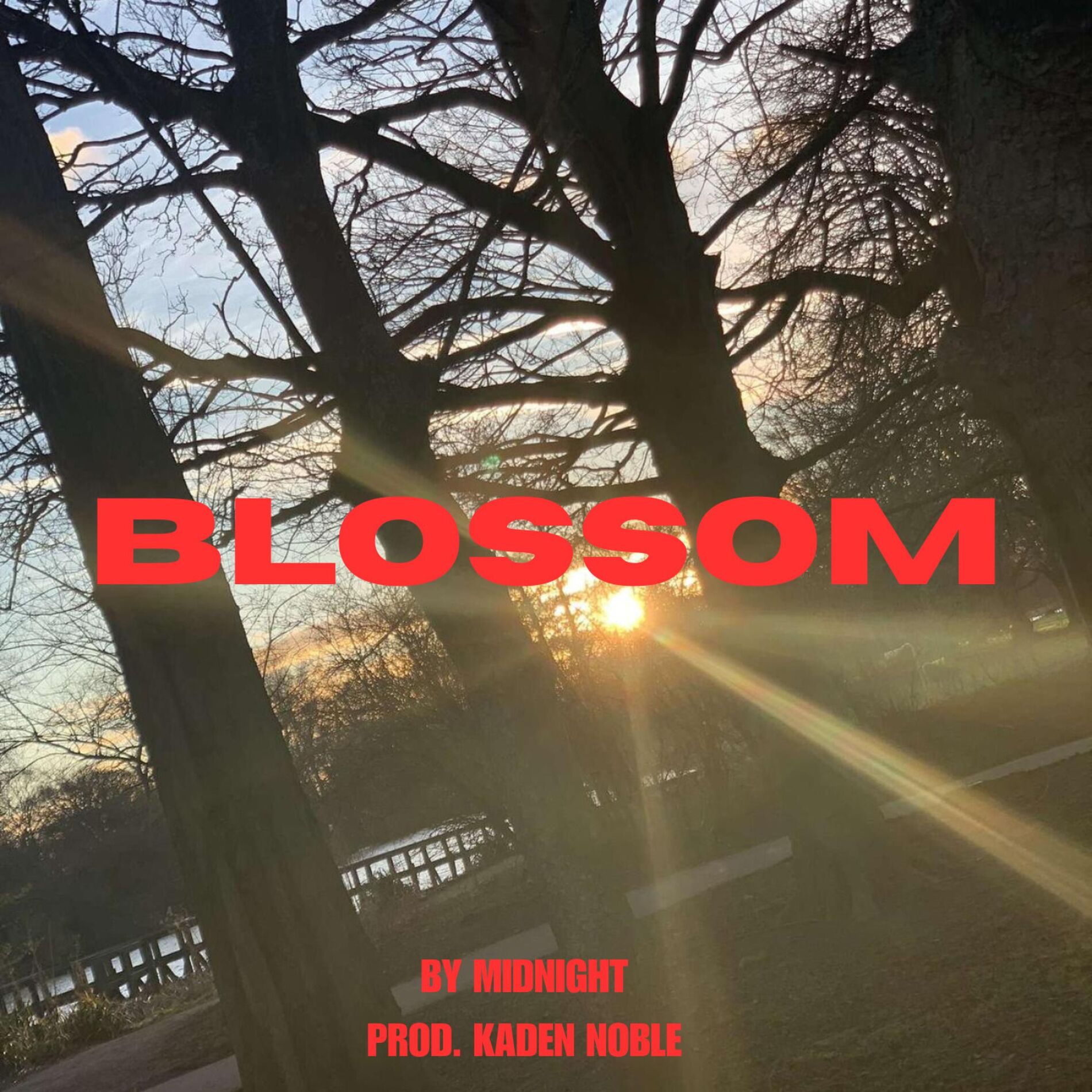 Album cover of Blossom (feat. MidNIGHT)