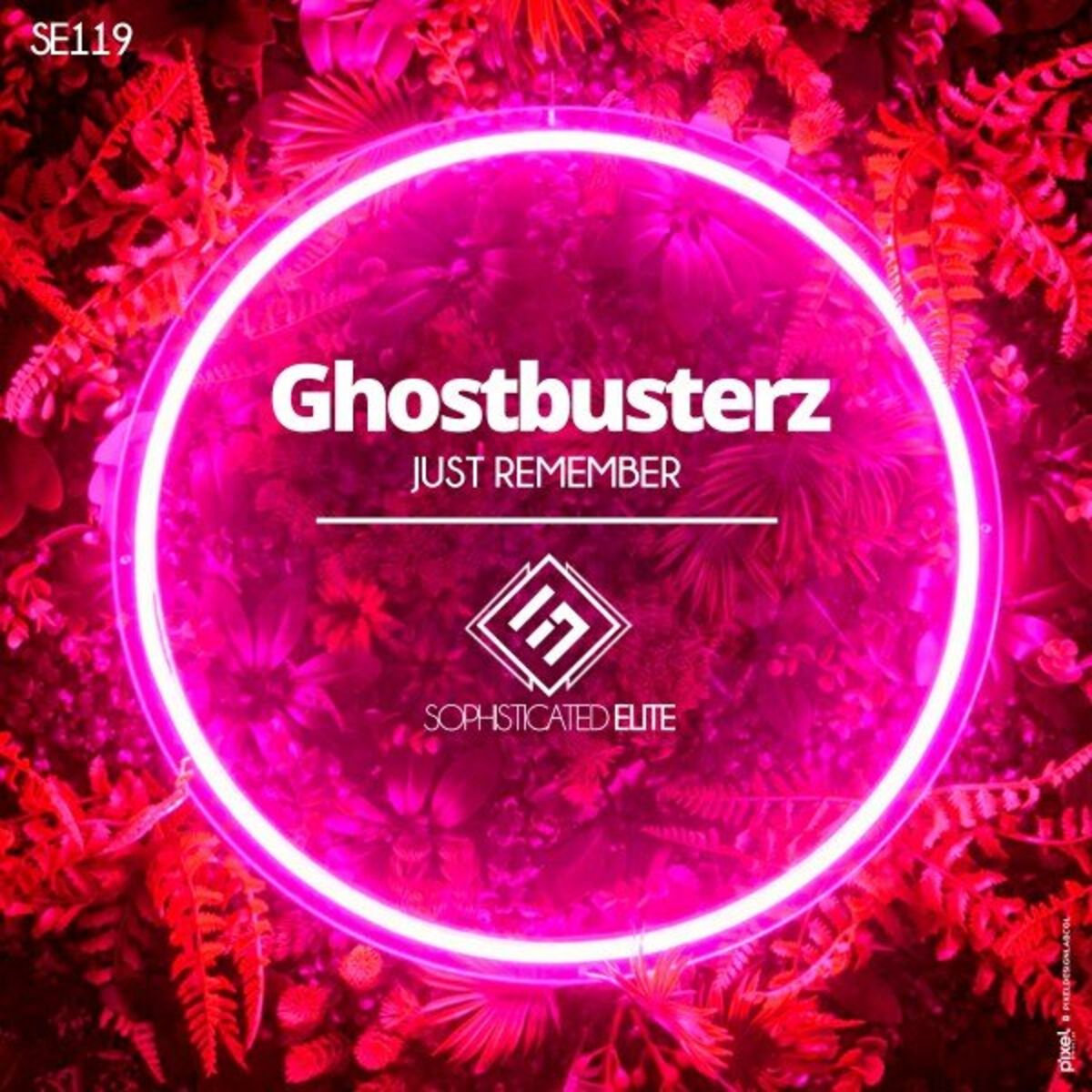 Album cover of Just Remember