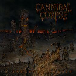 music cover