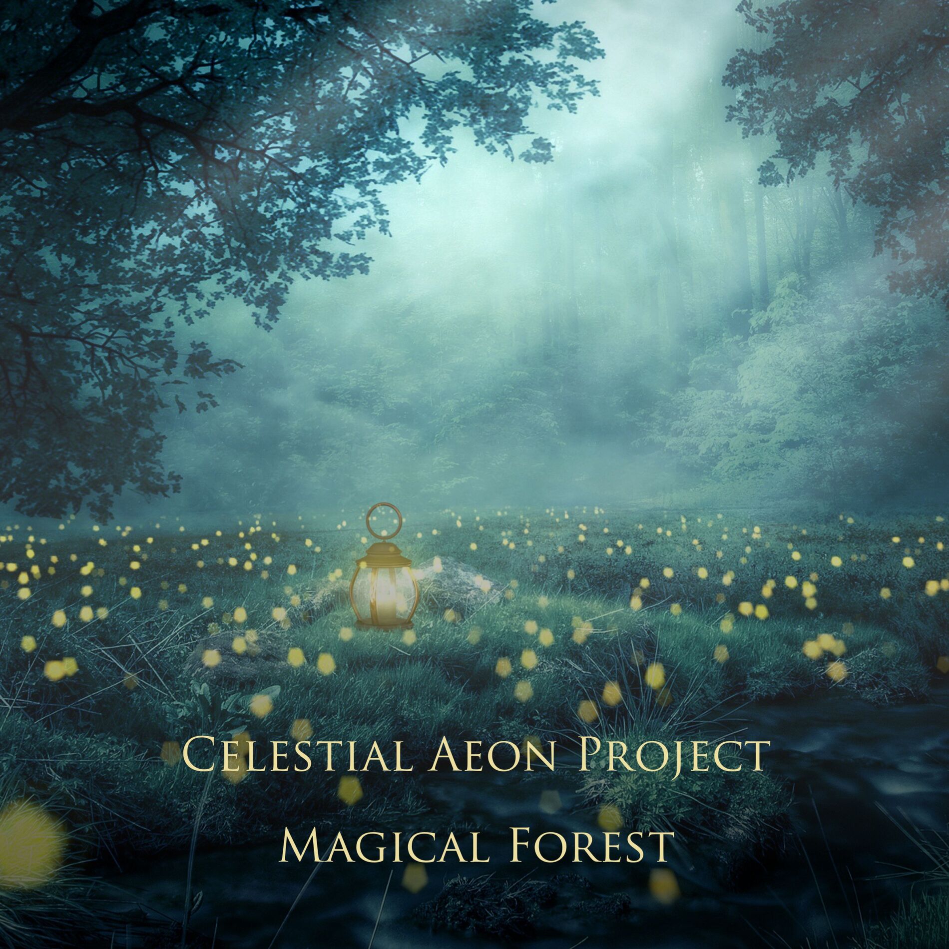 Album cover of Magical Forest