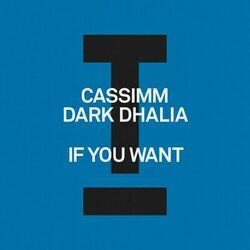 Cover of If You Want