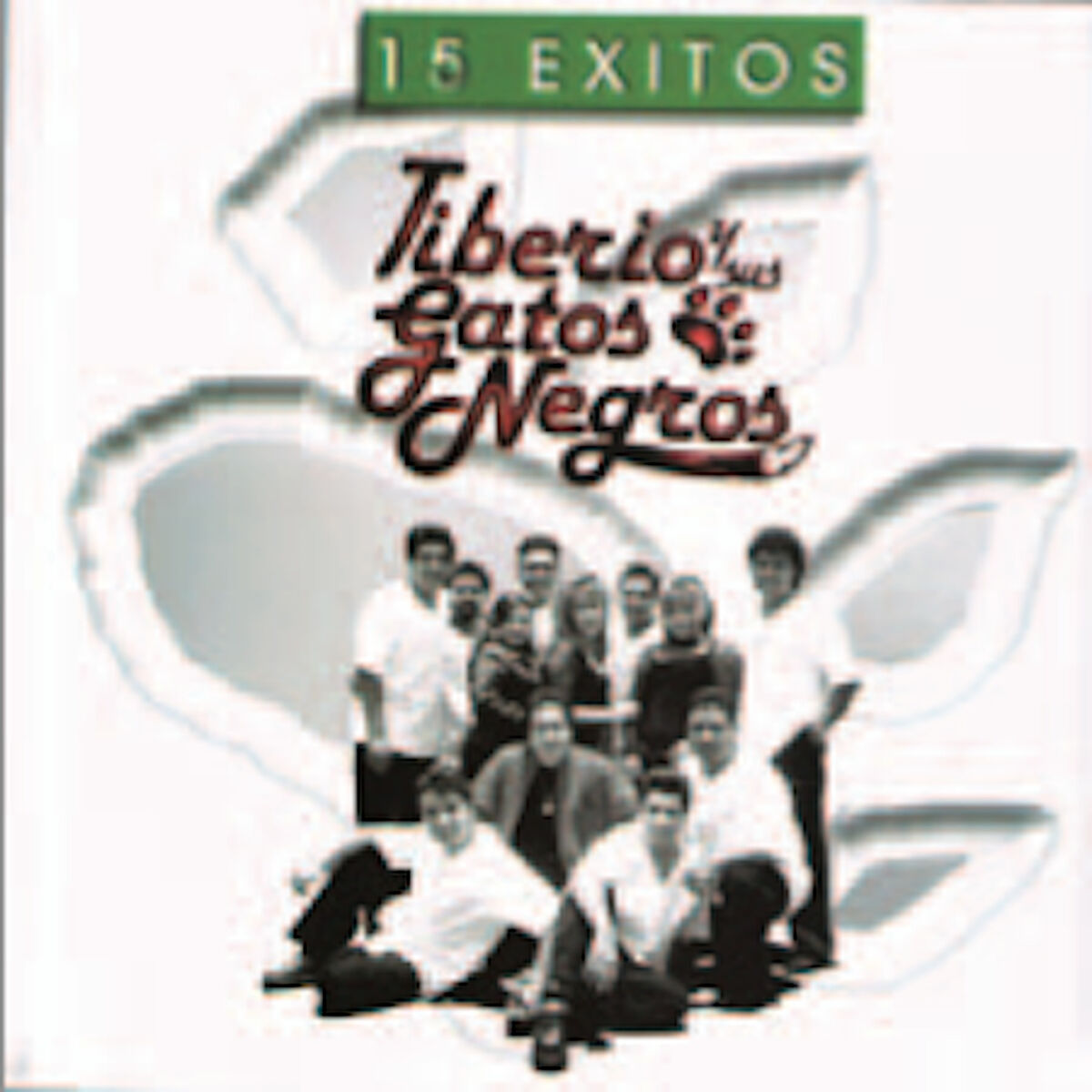 Album cover of Los Exitos de Tiberio y Sus Gatos Negros