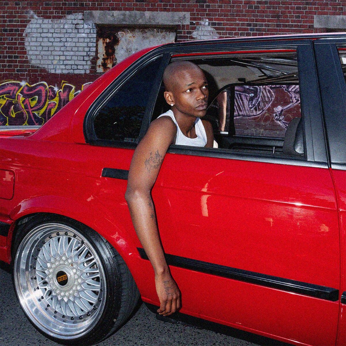 Album cover of ROLE MODEL