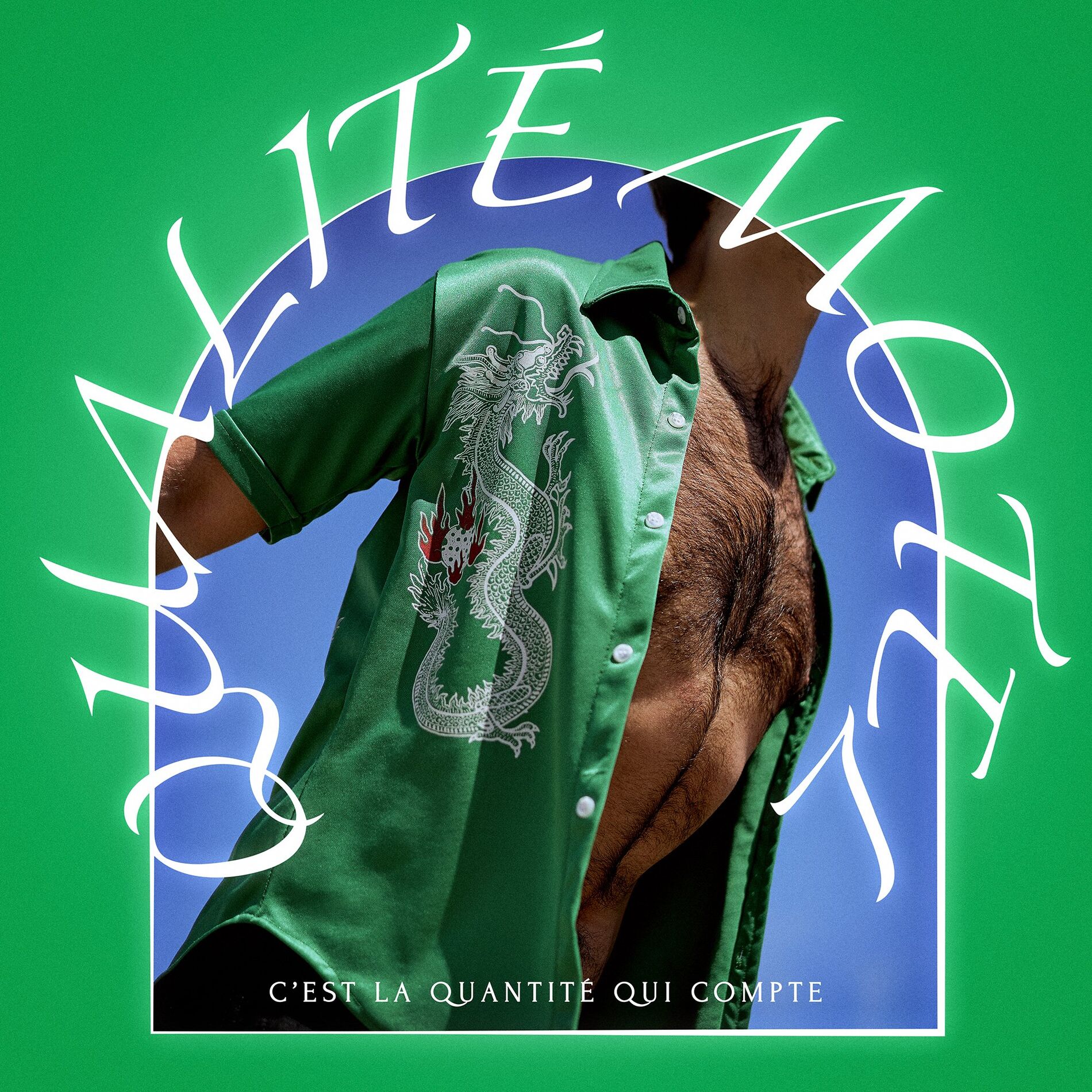 Album cover of C'est la quantité qui compte