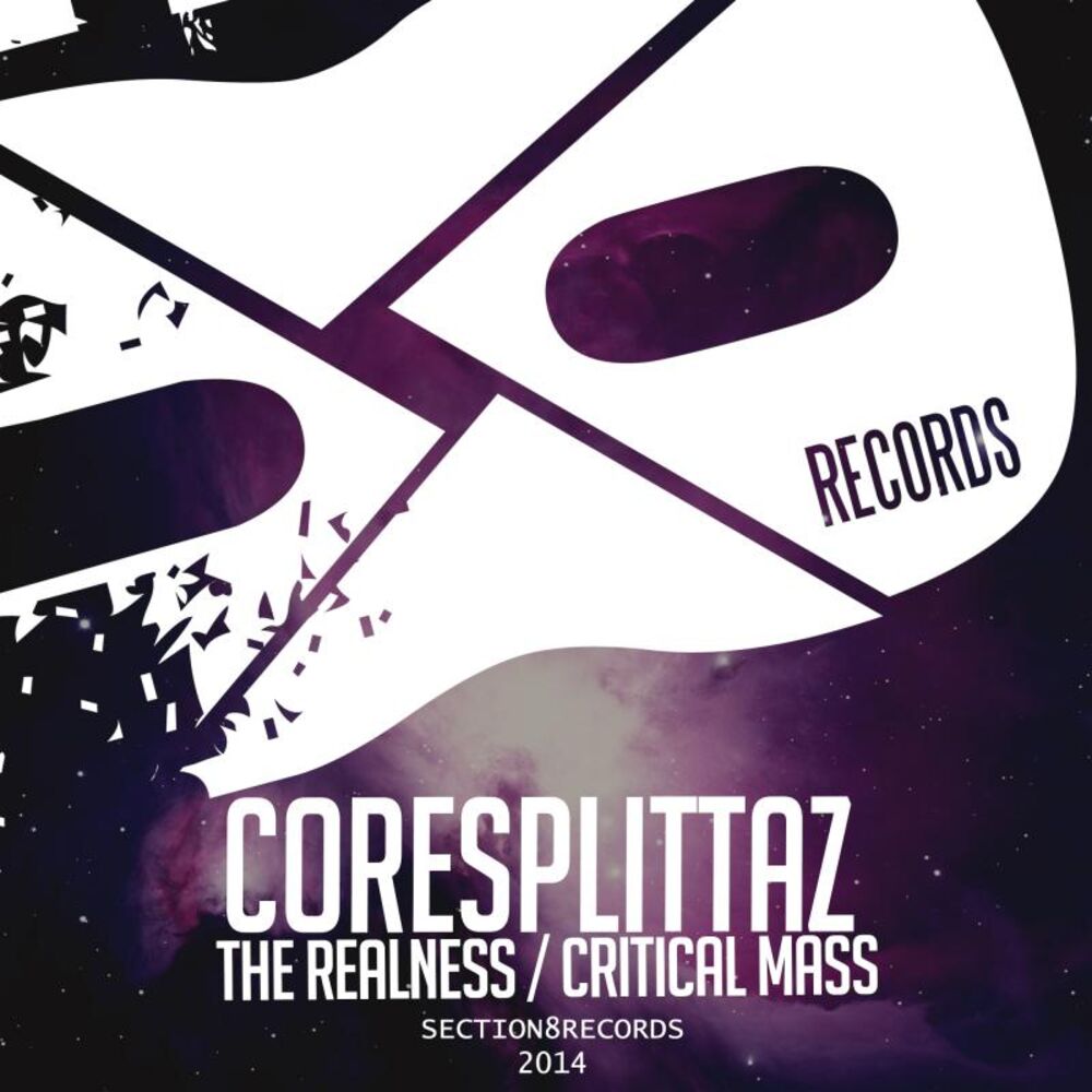 Picture of The Realness / Critical Mass