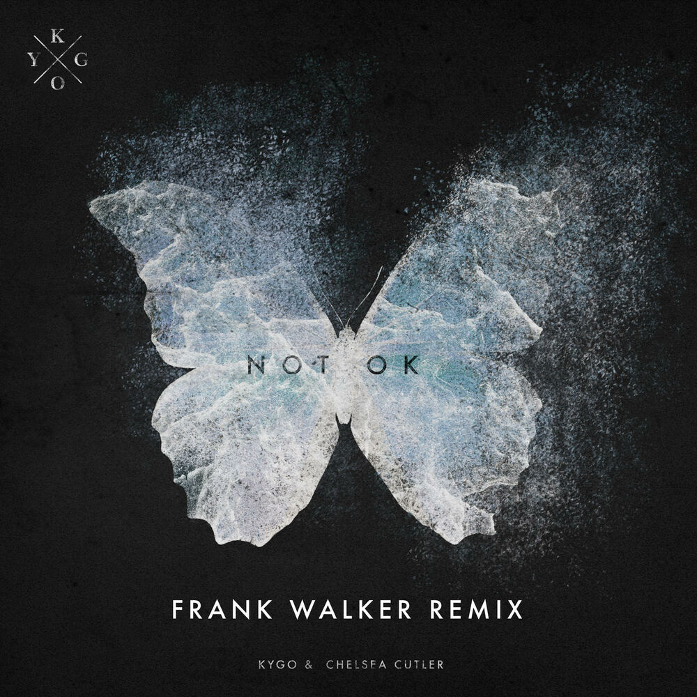 Picture of Not Ok (Frank Walker Remix)