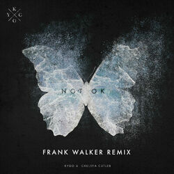 Cover of Not Ok (Frank Walker Remix)