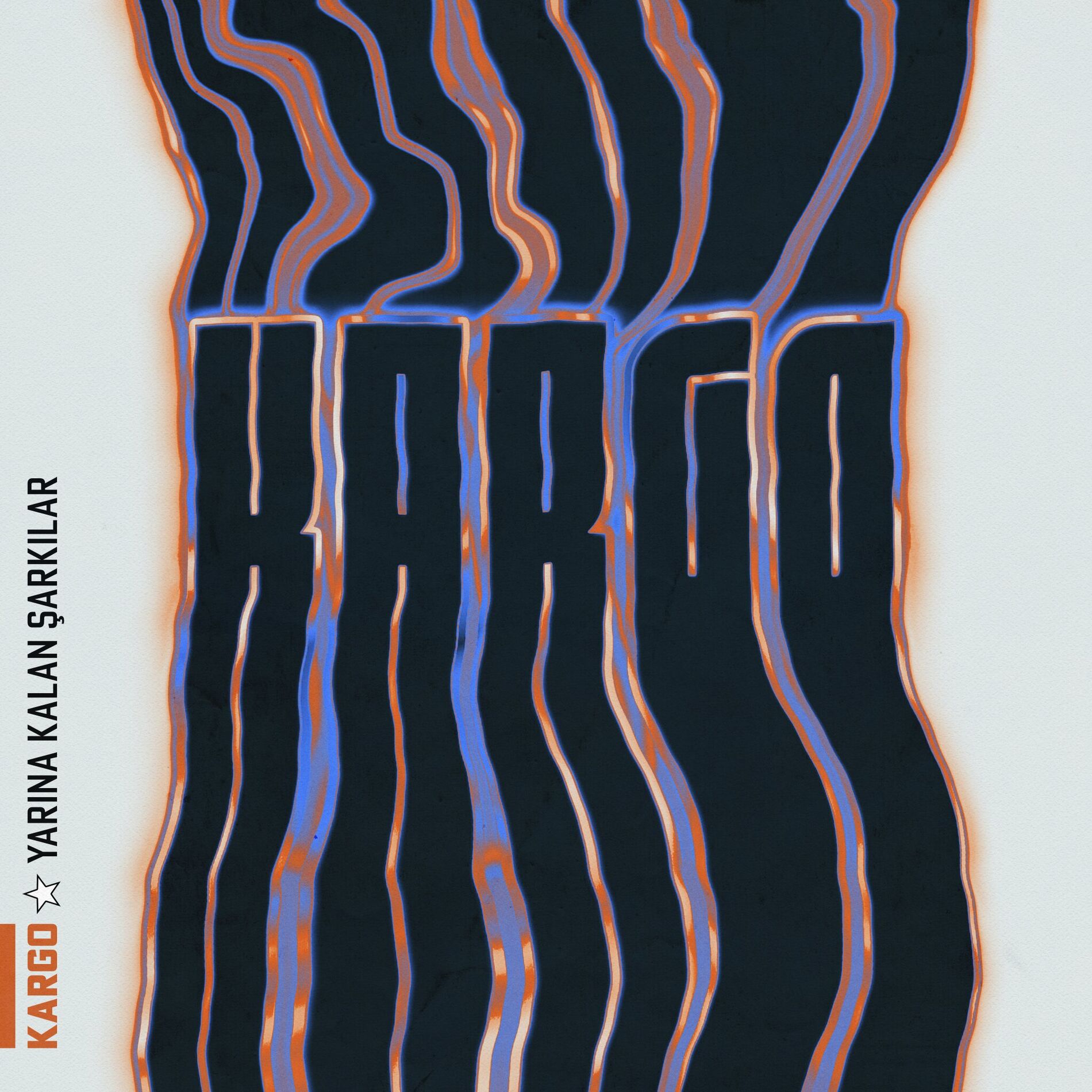 Album cover of Şairin Elinde