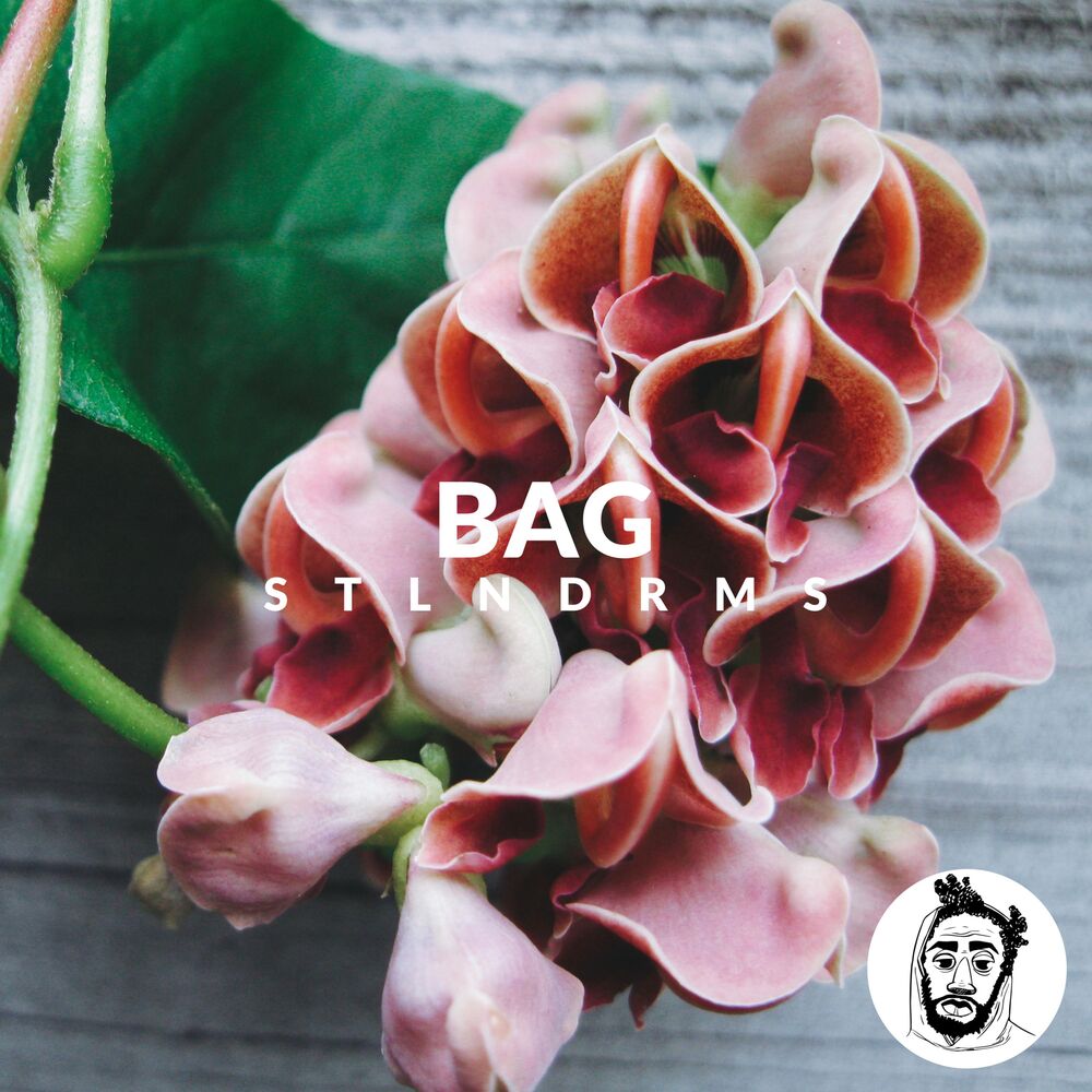 Picture of Bag