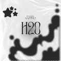 H2O