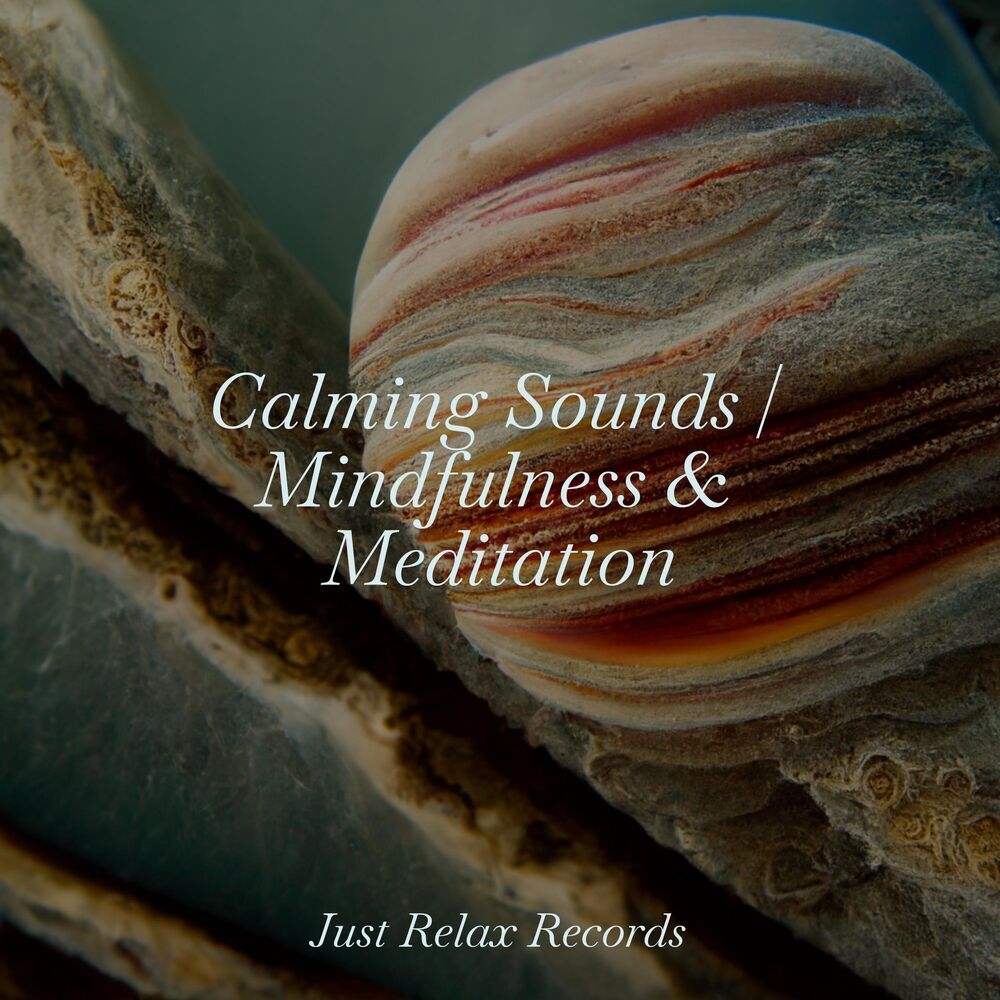 Picture of Calming Sounds | Mindfulness & Meditation