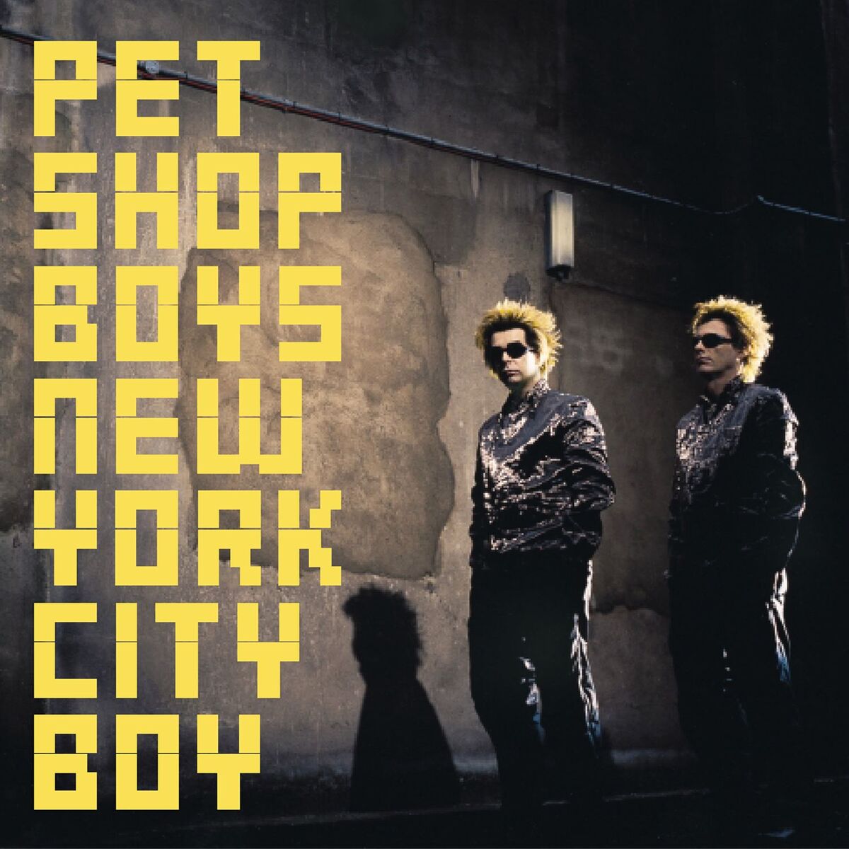 Album cover of New York City Boy