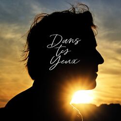 Cover of Dans tes yeux