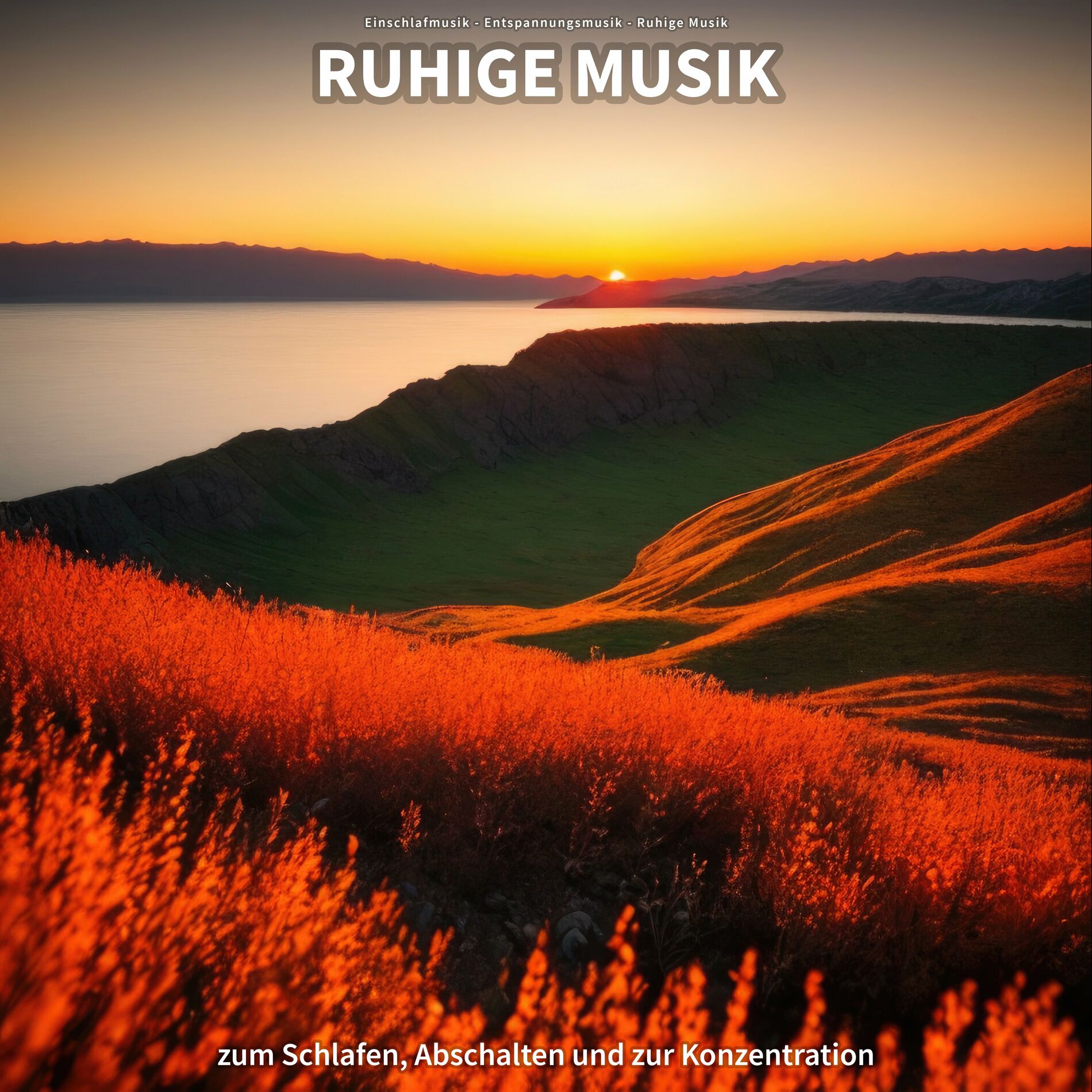 Album cover of Ruhige Musik zum Schlafen, Abschalten und zur Konzentration