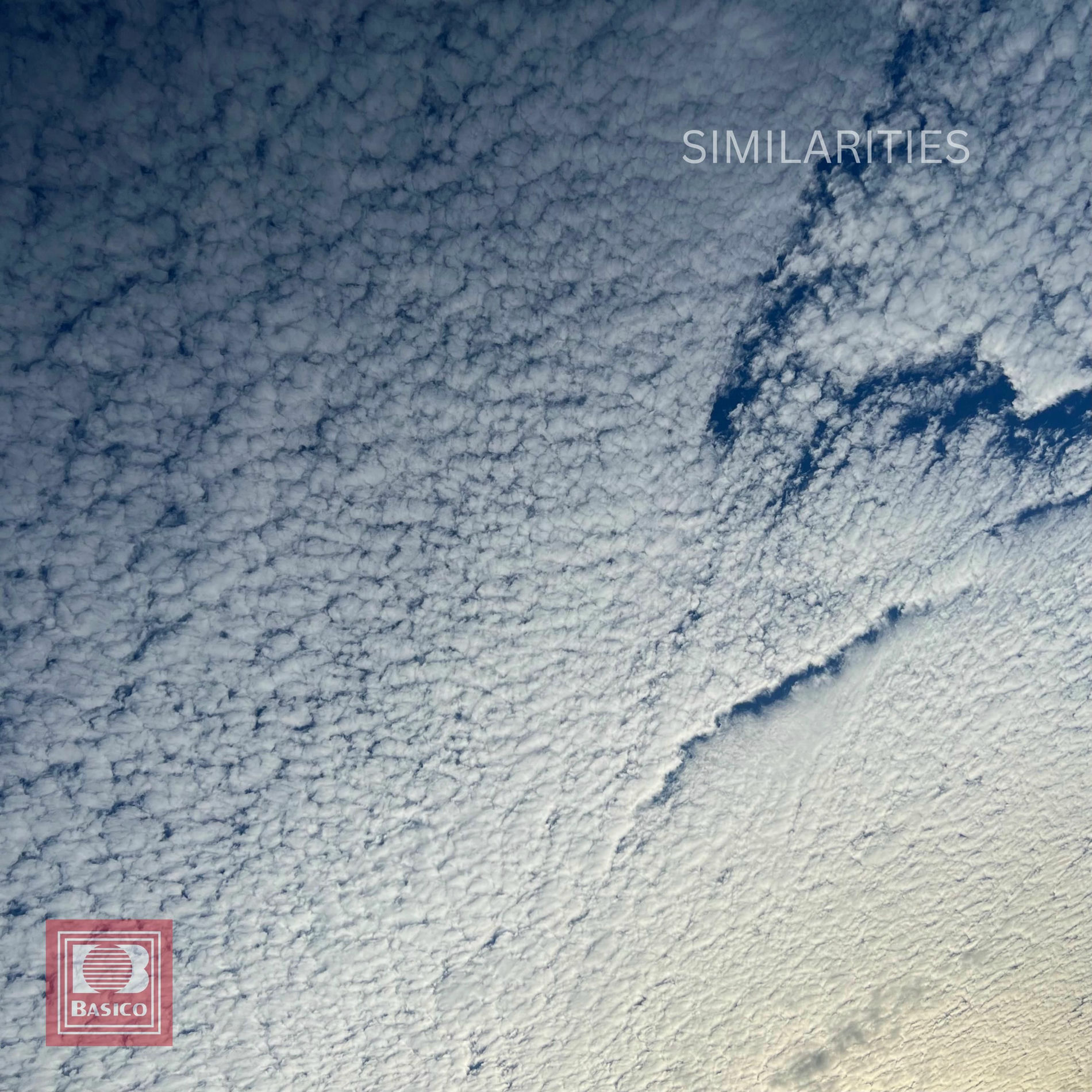 Album cover of SIMILARATIES