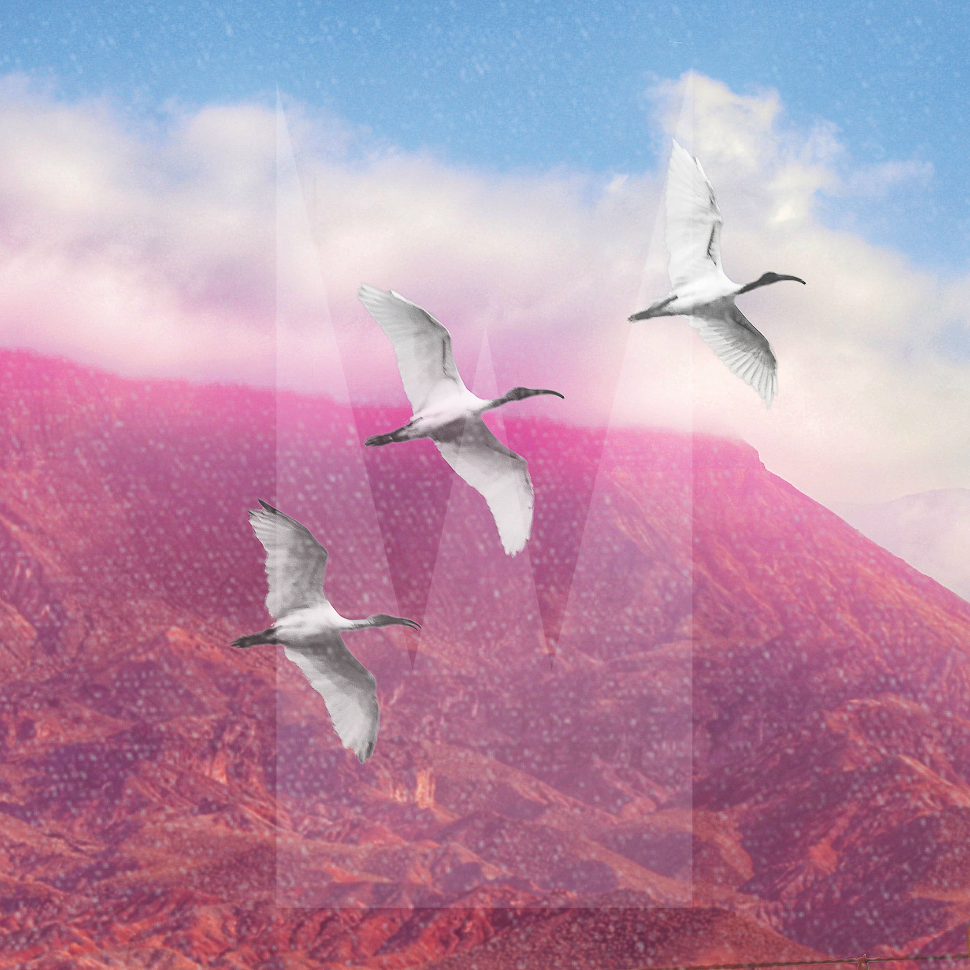 Album cover of Cold Ontario