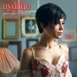 Cover of Gece Uyku Tutmazsa