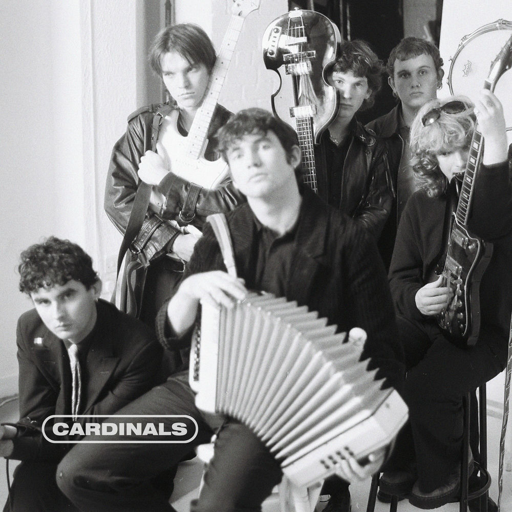 Album artwork for Amphetamines by Cardinal