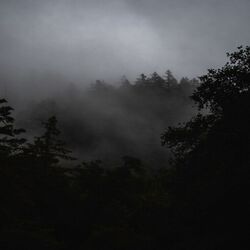 Cover of Mistyland Vol.2